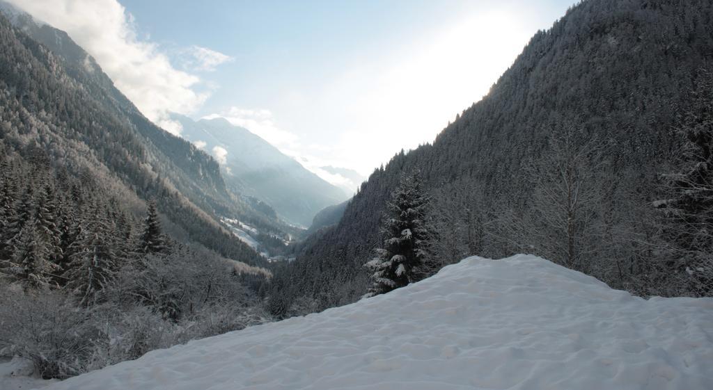 Apartments Haus Schoen - Preise Inclusive Pitztal Sommer Card イェルツェンス エクステリア 写真
