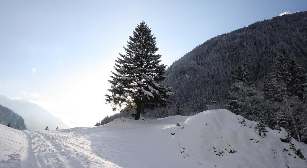 Apartments Haus Schoen - Preise Inclusive Pitztal Sommer Card イェルツェンス エクステリア 写真