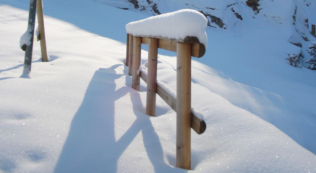 Apartments Haus Schoen - Preise Inclusive Pitztal Sommer Card イェルツェンス エクステリア 写真