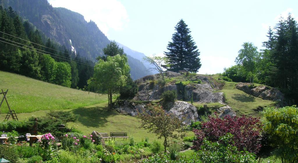 Apartments Haus Schoen - Preise Inclusive Pitztal Sommer Card イェルツェンス エクステリア 写真