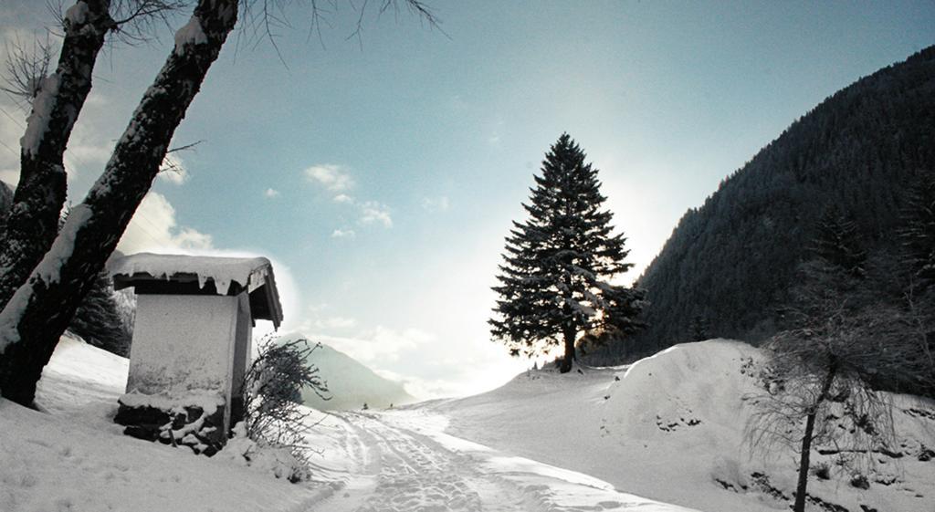Apartments Haus Schoen - Preise Inclusive Pitztal Sommer Card イェルツェンス エクステリア 写真