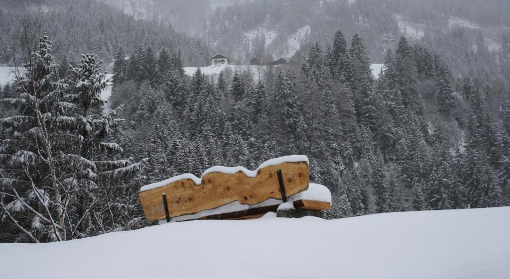 Apartments Haus Schoen - Preise Inclusive Pitztal Sommer Card イェルツェンス エクステリア 写真